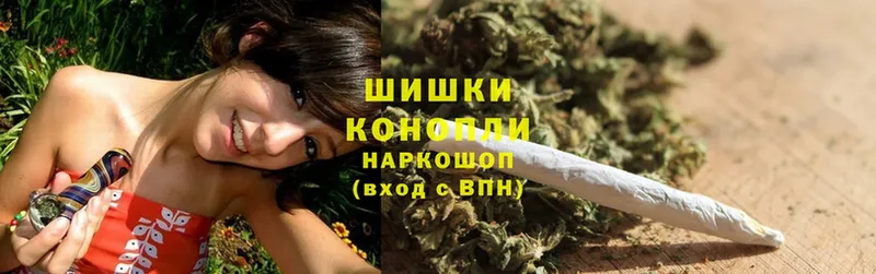 Бошки марихуана THC 21%  где купить наркоту  Артёмовский 